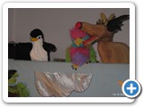 Ferie na finiszu 045